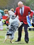 Click to see more details for this dog