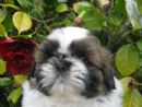 View Profile