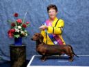 Click to see more details for this dog
