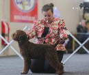 Click to see more details for this dog
