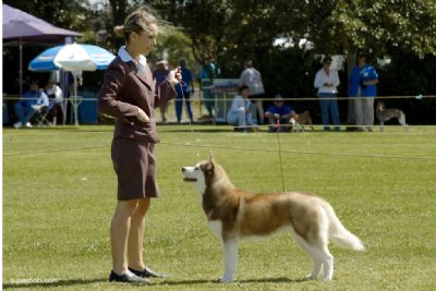 Breed Feature Photo - Unauthorised use prohibited!