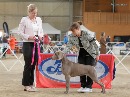 Click to see more details for this dog
